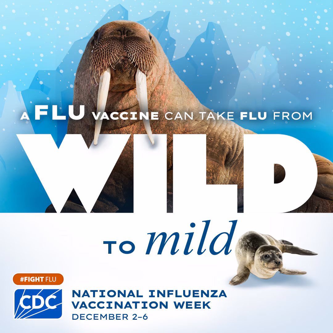 NIVW walrus to seal A flu vaccine can take flu from wild to mild. National Influenza Vaccination Week is December 2-6! #fightflu cdc logo