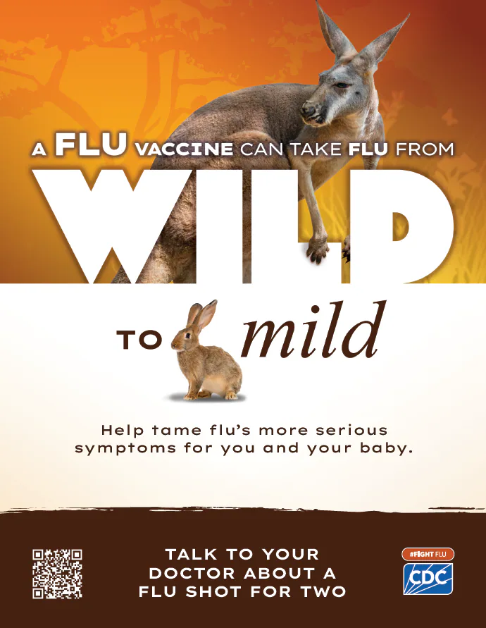 Pregnant People A flu vaccine can take flu from wild to mild. Help tame flu's more serious symptoms for you and your bably. #fightflu cdc logo