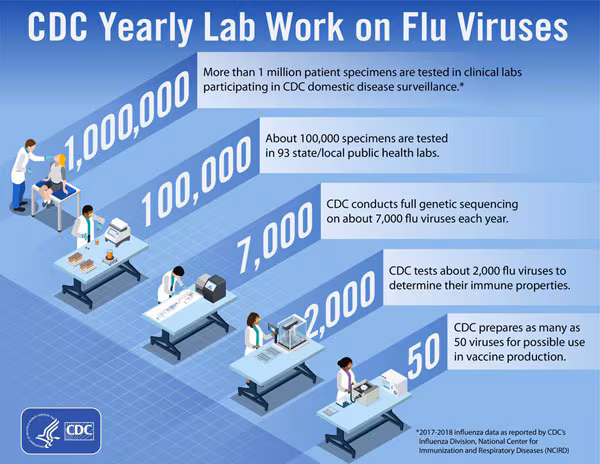 CDC Yearly Lab Work on Flu Viruses CDC Yearly Lab Work on Flu Viruses