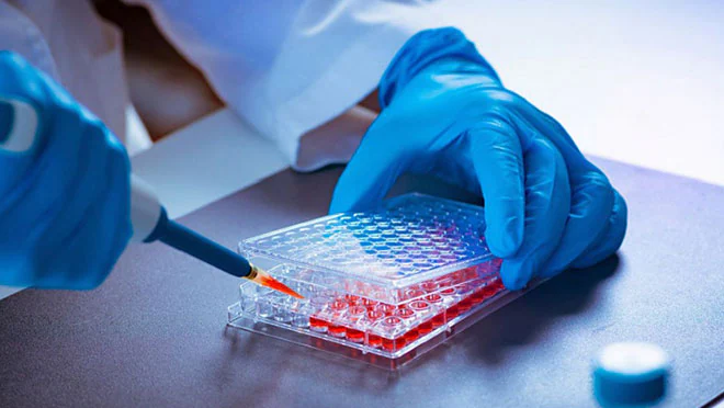 a hand wearing a blue glove uses a pipette to add liquid to a multi-well plate. the plate is filled with different colored liquids which are being mixed together. How Flu Vaccine Effectiveness and Efficacy are Measured