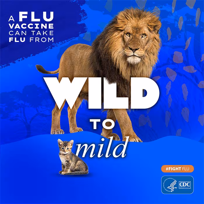 A flu vaccine can take flu from wild to mild Lion and kitten with text: A flu vaccine can take flu from wild to mild #fightflu CDC logo