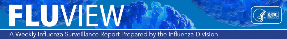 FluView a weekly influenza surveillance report prepared by the Influenza Division FluView a weekly influenza surveillance report prepared by the Influenza Division
