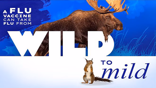 Wild to Mild Adults 65+ A flu vaccine can take flu from wild to mild. A moose stands behind "wild" and a squirrel stands next to "mild."