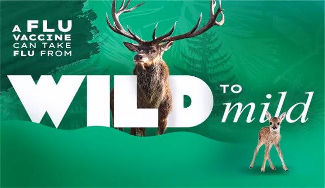 Wild to Mild Parents A flu vaccine can take flu from wild to mild. A stag stands behind "wild" and a fawn stands next to "mild."