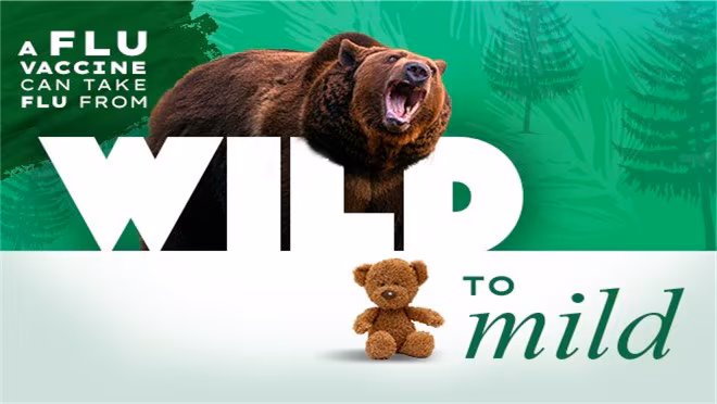 A flu vaccine can take flu from wild to mild. Growling bear stands behind "wild" and a teddy bear is next to "mild."