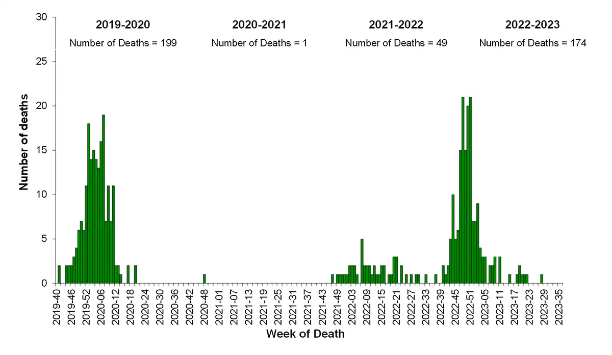 Figure 12. Number of Influenza-Associated Pediatric Deaths by Week of Death, 2019-20 to 2022-23 Seasons Figure 12. Number of Influenza-Associated Pediatric Deaths by Week of Death, 2019-20 to 2022-23 Seasons
