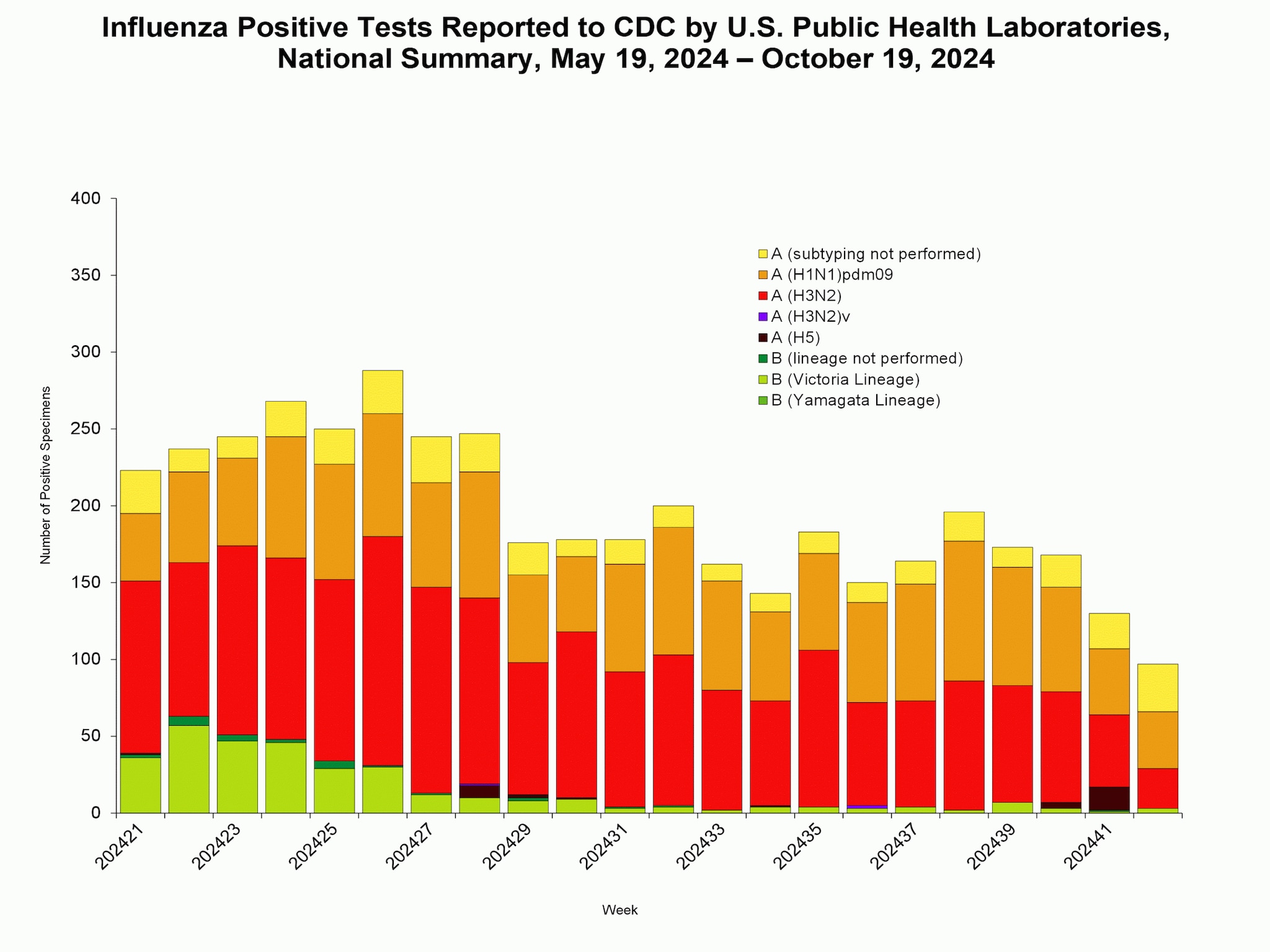 WHOPHL42 *This graph reflects the number of specimens tested and the number determined to be positive for influenza viruses at the public health lab (specimens tested is not the same as cases). It does not reflect specimens tested only at CDC and could include more than one specimen tested per person. Specimens tested as part of routine influenza surveillance as well as those tested as part of targeted testing for people exposed to influenza A(H5) are included.