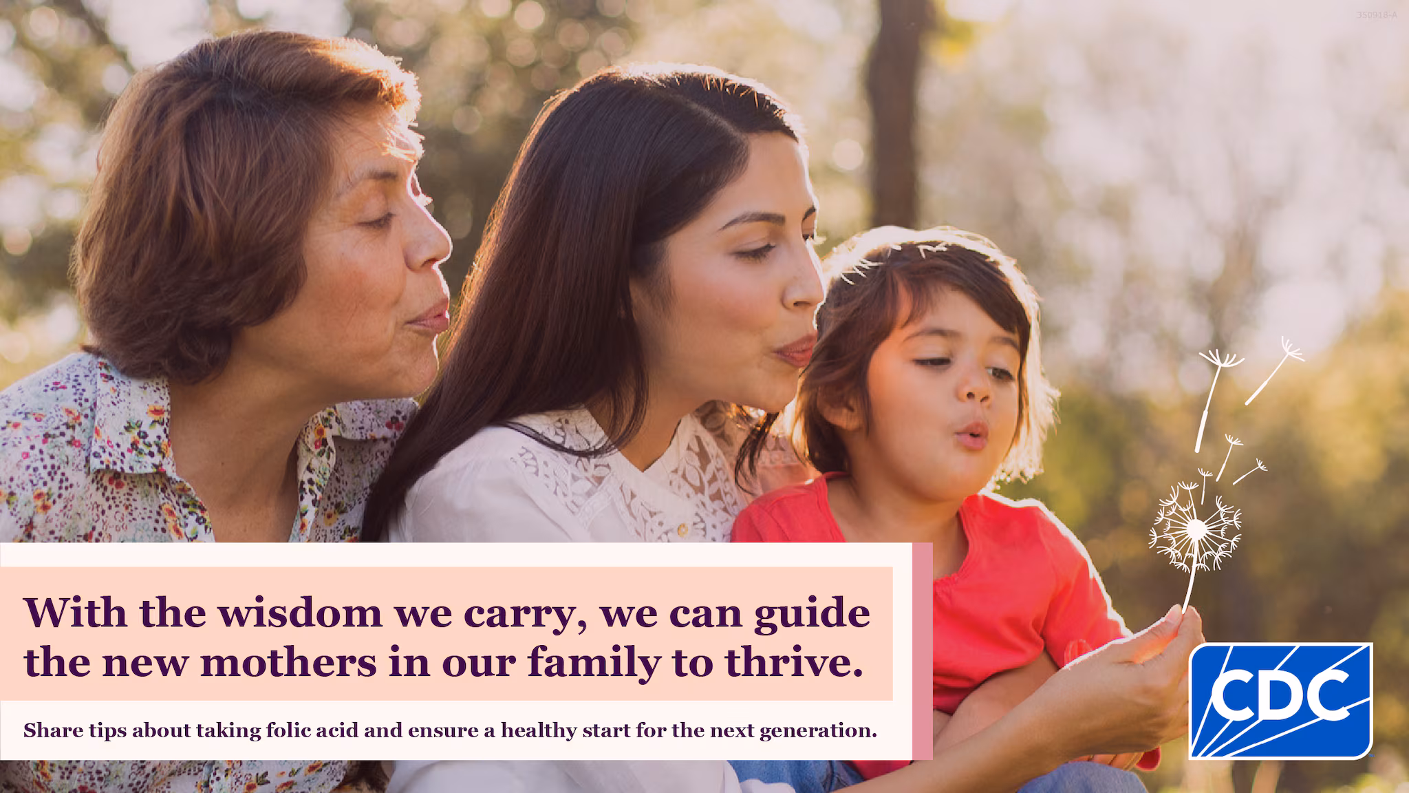 Share Your Wisdom- X Multigenerational image of a grandmother, daughter, and granddaughter enjoying being in nature as the granddaughter blows on a dandelion.