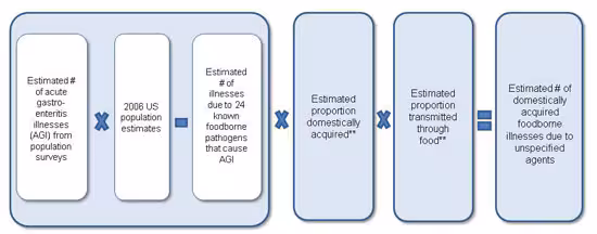 Figure 2 is a diagram, depicting an equation used to estimate foodborne illness due to unspecified agents for the year 2011. The equation is as follows: Estimated number of acute gastro-enteritis illnesses (AGI) from population surveys multiplied by 2006 US population estimates minus Estimated number of illnesses due to 24 known foodborne pathogens that cause AGI. The result of that is then multiplied by Estimated proportion domestically acquired multiplied by Estimated proportion transmitted through food which will result in Estimated number of domestically acquired foodborne illnesses due to unspecified agents.
