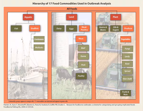Graphic: Hierarchy of 17 Food Commodities Used in Outbreak Analysis