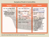 Chart: Examples of Foods in Commodities (Categories)