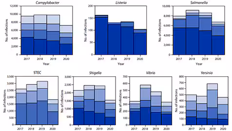 MMWR A series of column charts from a FoodNet MMWR report with numbers of infections per year for 7 pathogens.