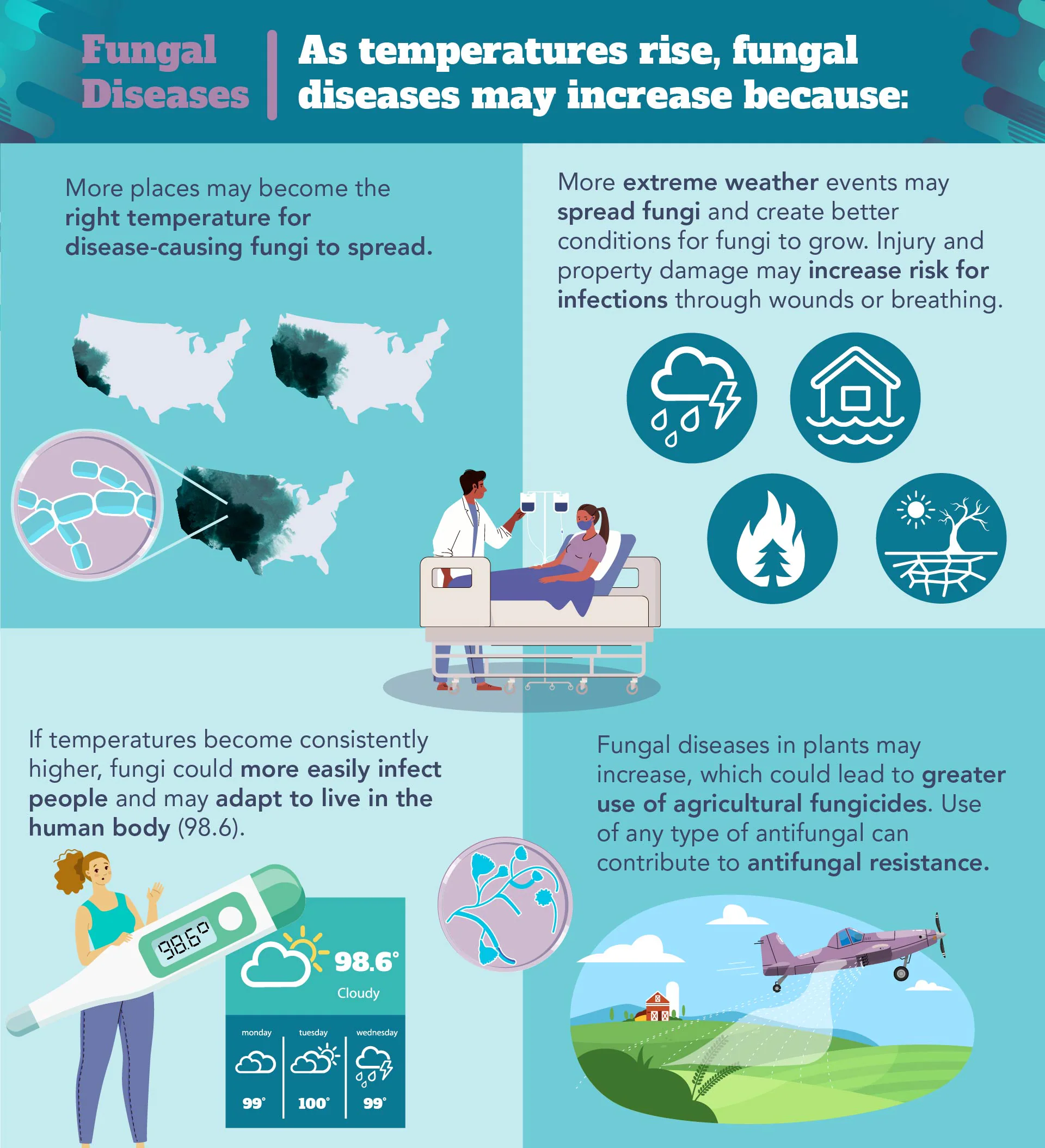 Infographic explaining why fungal diseases increase when temperatures rise.