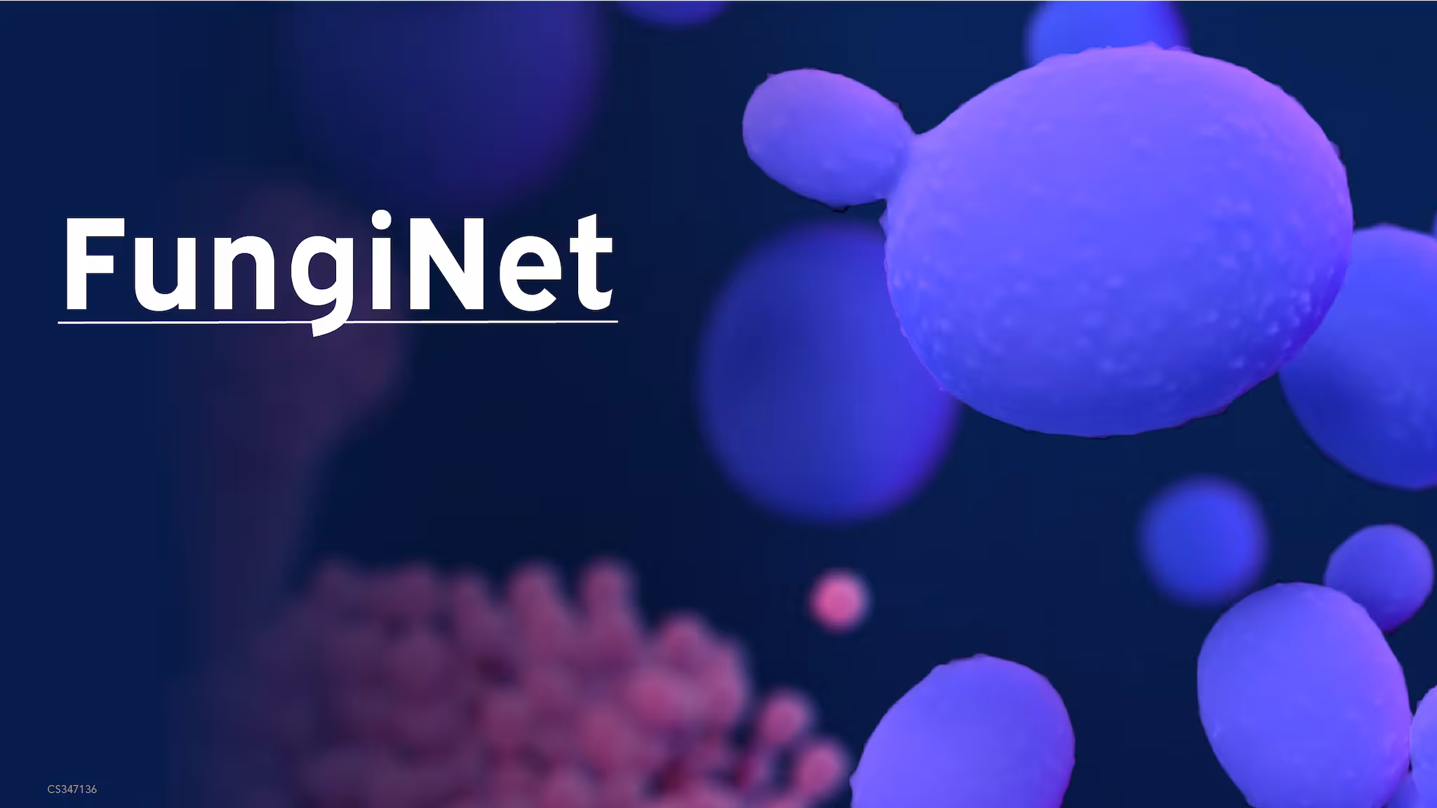 Microscopic images of candida auris and aspergillus with text: FungiNet