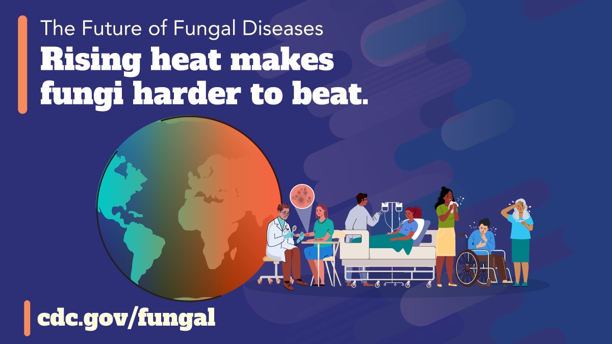The earth in the center, and the right side shows people with skin lesions and illnesses. The text reads “The future of Fungal diseases” and “Rising heat makes fungi harder to beat.”