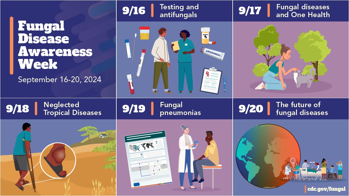 Fungal Disease Awareness Week daily themes including (in chronological order): Testing and antifungals, fungal diseases and One Health, Neglected Tropical Diseases, Fungal Pneumonias, and the future of fungal diseases