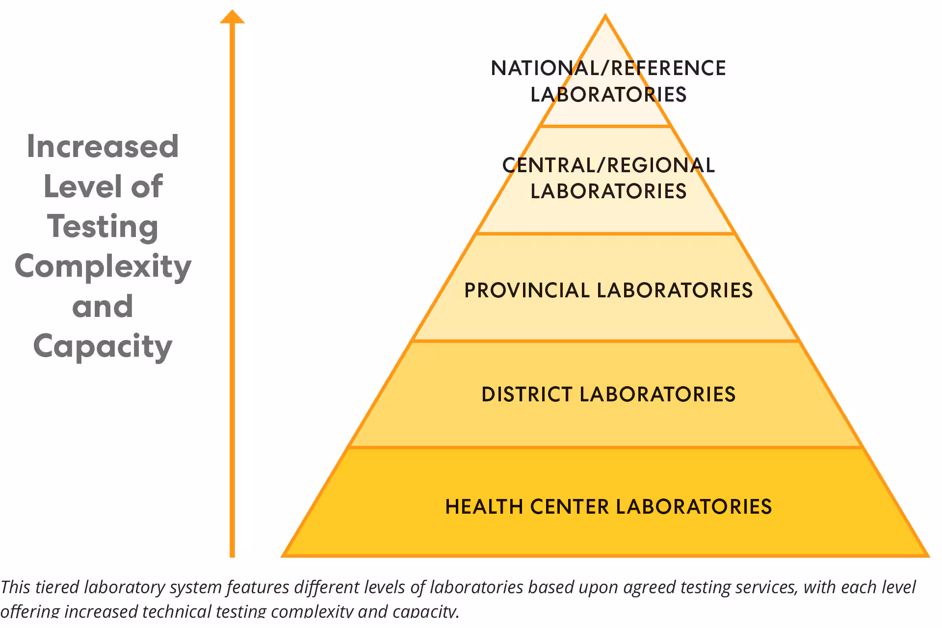 Laboratory_Pyramid Pyramid of tiered laboratory testing complexity and capacity