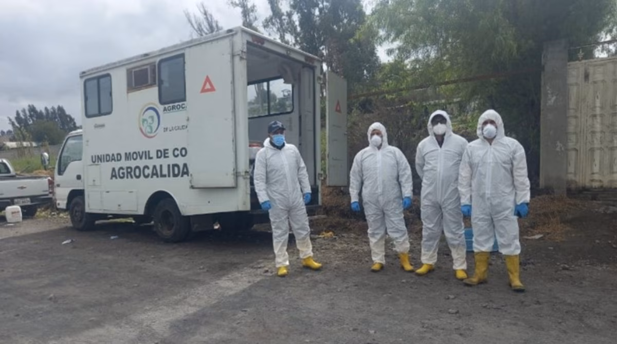 Ecuador_Avian_Flu_002 Workers are wearing white full-body protective suits, gloves, masks, and yellow boots. They are standing beside a white mobile unit labeled "Unidad Móvil de Control Agrocalidad."