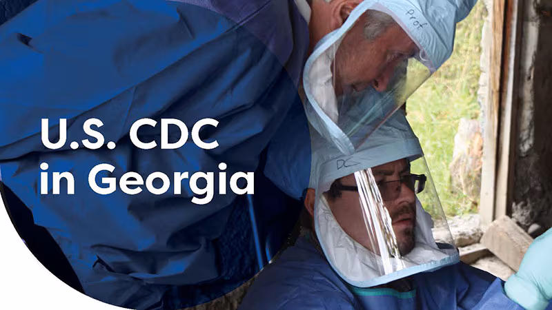 georgia factsheet thumbnail