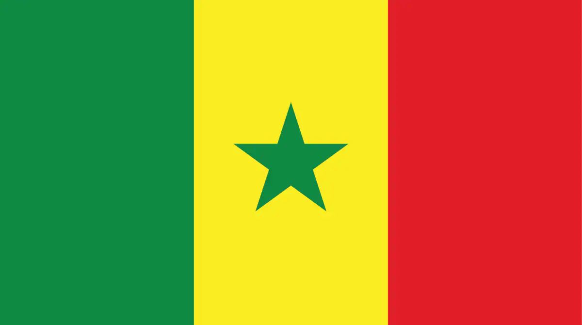 Vertical bands of green, yellow and red. Green star appears in the middle of the yellow vertical strip