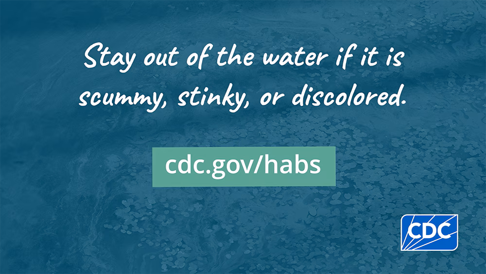 Stay out of the water if it is scummy, stinky, or discolored.
