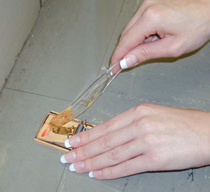 A person spreading peanut butter over a mouse trap