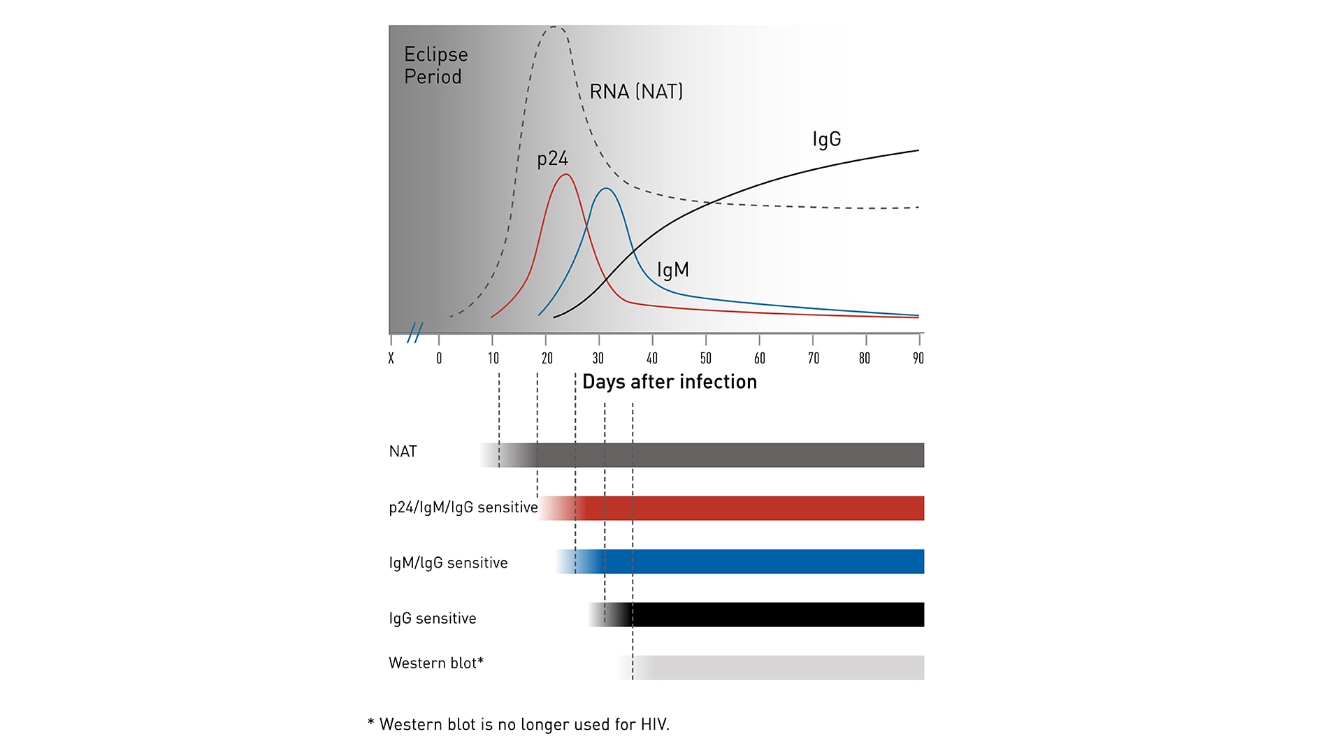 HIV testing eclipse period Charts showing the eclipse period for different types of HIV tests. The NAT can detect HIV the earliest, followed by the antigen/antibody combination test, and lastly, the antibody test.