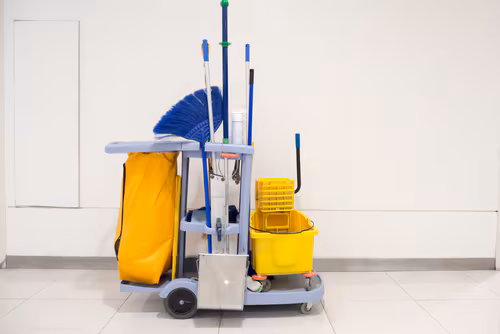 cleaning bucket on rollers with mops and brooms