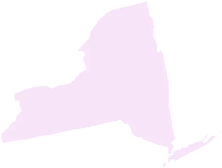 New York State of New York