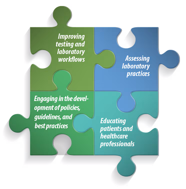 DxEI Puzzle Graphic Graphic illustrating how the four types of activities and projects that support diagnostic excellence fit together like puzzle pieces.