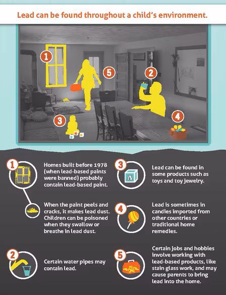 Lead in the Environment Infographic