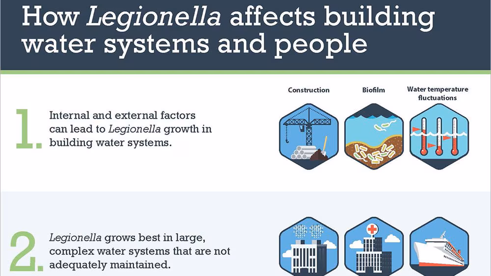A visualization of how Legionella affects building water systems and people.