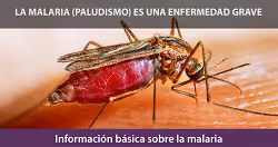 CDC-Malaria-Program-2024