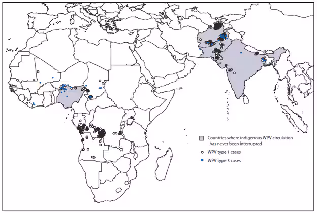 The figure above shows the distribution of wild poliovirus (WPV) cases worldwide during January 2010-March 2011. During that period, the greatest concentration of WPV cases (primarily WPV type 1) occurred in Tajikistan and Republic of Cong, followed by Pakistan and Democratic Republic of the Congo.
