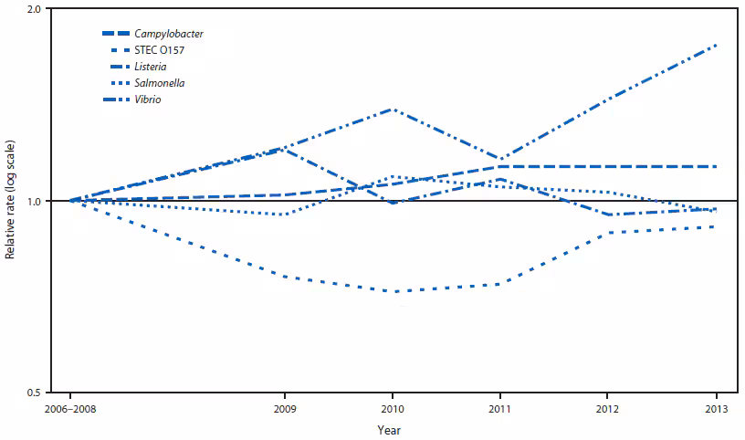 The figure above shows relative rates of culture-confirmed infections with Campylobacter, Shiga toxin–producing Escherichia coli O157, Listeria, Salmonella, and Vibrio compared with 2006–2008 rates, by year, in the United States during 2006–2013. Compared with 2006–2008, the 2013 incidence was significantly higher for Campylobacter and Vibrio.