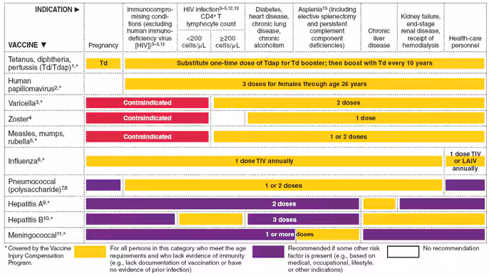 The figure shows vaccines that might be indicated for adults, based on medical and other indications in the United States for 2010.