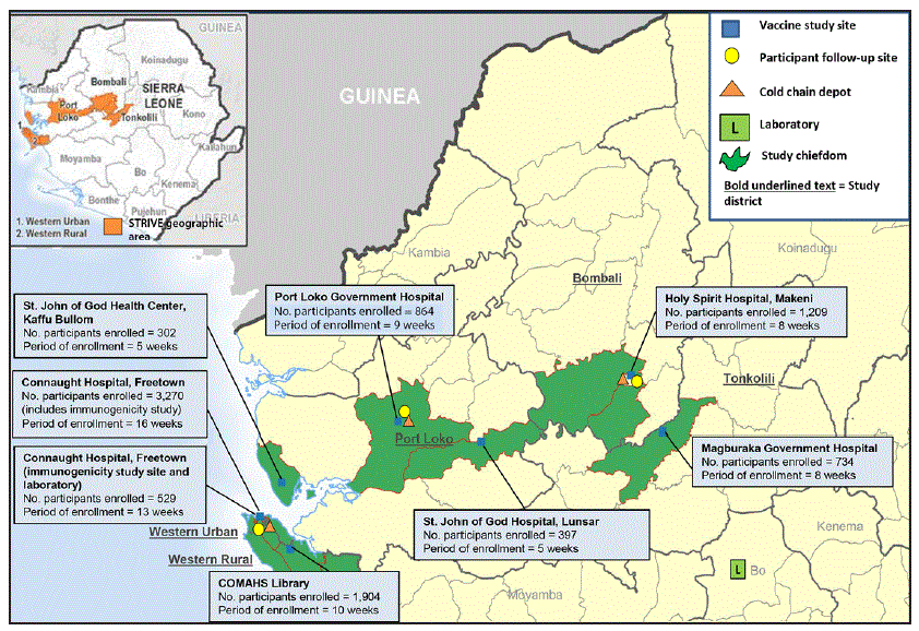 su6503a14f1.gif Map of Sierra Leone shows the locations of the chiefdoms where the Sierra Leone Trial to Introduce a Vaccine against Ebola (STRIVE) took place in the Western Urban, Western Rural, Port Loko, Bombali, and Tonkolili districts. Locations are shown in each district for the vaccine study site, participant follow-up site, and cold chain depot. The laboratory is shown in the Bo district. Information given for each site includes the number of participants enrolled and the period of enrollment at the site, as follows: St. John of God Health Center, Kaffu Bullom (Port Loko district), 302 participants enrolled and enrollment period of 5 weeks; Connaught Hospital, Freetown (Western Urban district), 3,270 participants enrolled and enrollment period of 16 weeks (the number enrolled includes immunogenicity); Connaught Hospital, Freetown (Western Urban district) immunogenicity study site and laboratory, 529 participants enrolled and enrollment period of 13 weeks; Port Loko Government Hospital (Port Loko district), 864 participants enrolled and enrollment period of 9 weeks; St. John of God Hospital, Lunsar (Port Loko district), 397 participants enrolled and enrollment period of 5 weeks; COMAHS Library (Western Rural district), 1,904 participants enrolled and enrollment period of 10 weeks; Holy Spirit Hospital, Makeni (Bombali district), 1,209 participants enrolled and enrollment period of 8 weeks; Magburaka Government Hospital (Tonkolili district), 734 participants enrolled and enrollment period of 8 weeks