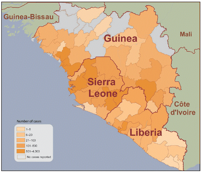 su6503a2f2.gif The map shows the total number of cases of Ebola by prefecture (Guinea), county (Liberia), and district (Sierra Leone). The highest counts (501–4,000) were mostly in districts of Sierra Leone. Many prefectures in Guinea had no cases reported or less than 100 cases. Counties in Liberia had counts that varied from the smallest range (1 to 5) to the highest. In the last 21 days, cases had been reported in a southern prefecture of Guinea.