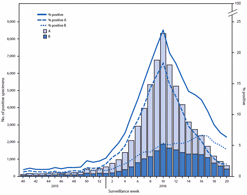 m6522a3f2.gif The figure above is a histogram showing the number and percentage of respiratory specimens testing positive for influenza reported by clinical laboratories, by type and surveillance week, in the United States during the 2015–16 influenza season.