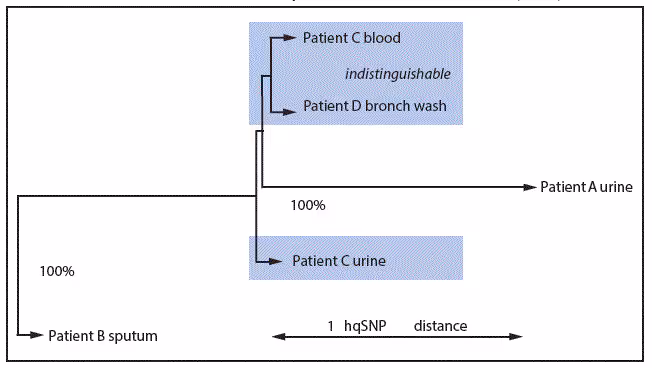 m6534a5f3.gif The figure above is a maximum likelihood phylogenetic tree of five carbapenem-resistant Enterobacteriaceae isolates from four patients in Wisconsin during February–May 2015.