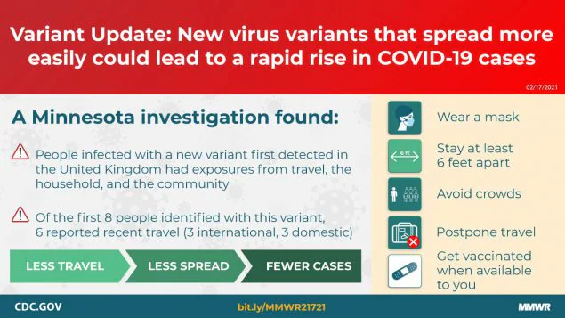 The figure describes a new virus variant identified in people in Minnesota.