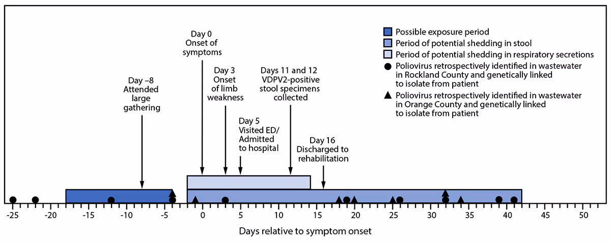 Public Health Response to a Case of Paralytic Poliomyelitis in an Unvaccinated Person and Detection of Poliovirus in Wastewater — New York, June–August 2022 This figure is a timeline of patient activities, potential poliovirus exposures, shedding, and poliovirus-positive wastewater samples genetically linked to a patient with a case of type 2 vaccine-derived poliovirus in New York during May–August 2022.