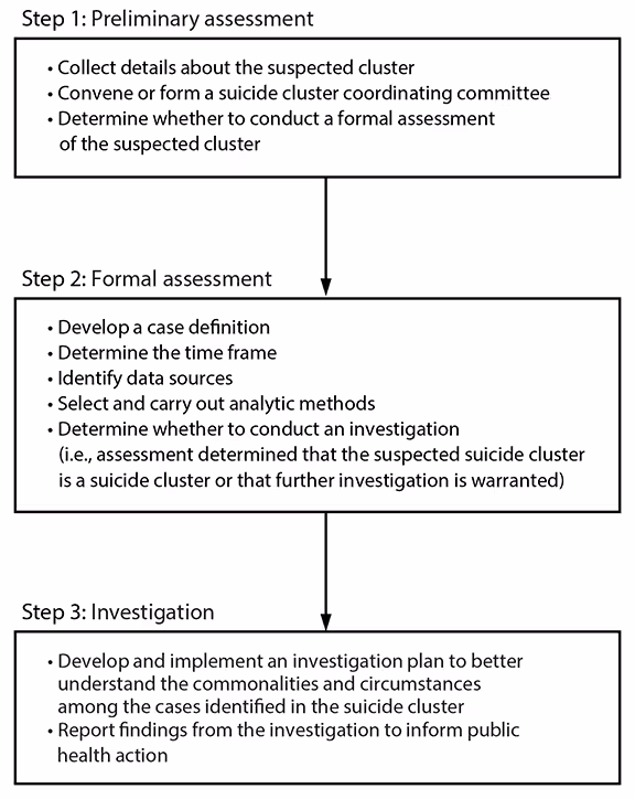 CDC Guidance for Community Assessment and Investigation of Suspected Suicide Clusters, United States, 2024 Figure 2 is a flowchart that illustrates the steps for assessing and investigating a suspected suicide cluster in the United States.