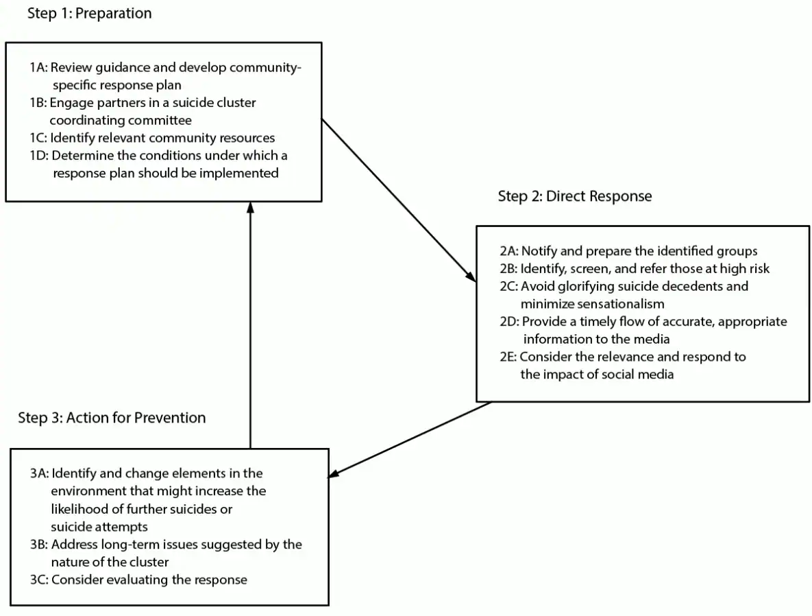 CDC Guidance for Community Response to Suicide Clusters, United States, 2024 Figure illustrates the steps in a community suicide cluster response according to CDC guidance updated in 2024. The steps are preparation, direct response, and action for prevention.