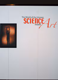 Science Meets Art