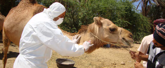 CDC activates its Emergency Operations Center to investigate a novel coronavirus called Middle East Respiratory Syndrome Coronavirus