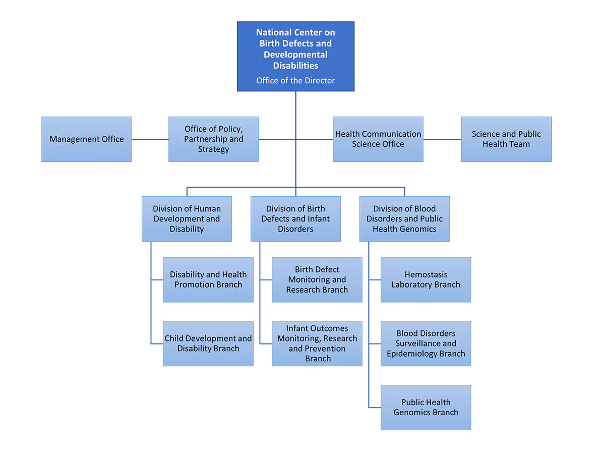 NCBDDD org chart, details to follow