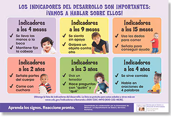 Milestones matter poster spanish