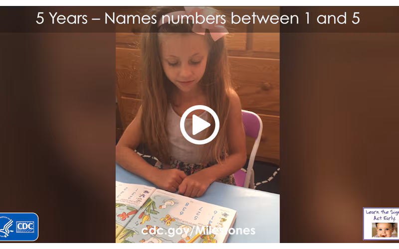Names some numbers between 1 and 5 when you point to them