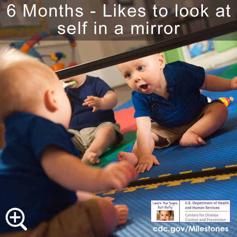 Likes to look at self in mirror